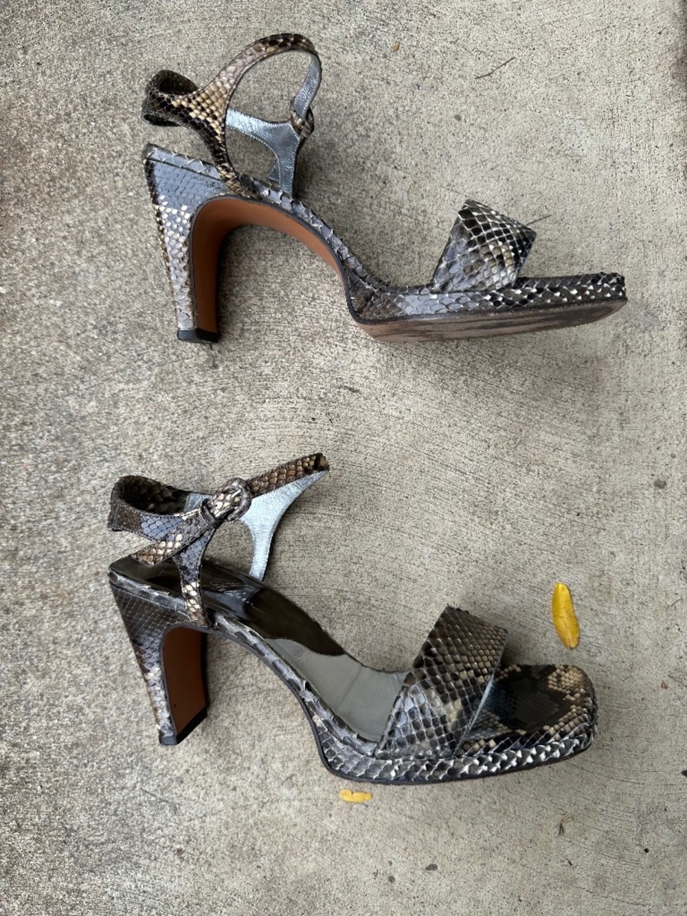 Python Heels - Picture 3 of 16